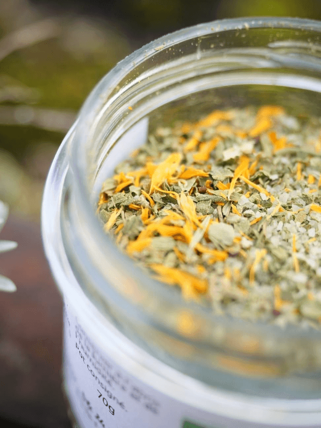 SEL AUX HERBES
